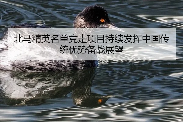 bei-ma-jing-ying-ming-dan-jing-zou-xiang-mu-chi-xu-fa-hui-zhong-guo-chuan-tong-you-shi-bei-zhan-zhan-wang-2-876.jpg